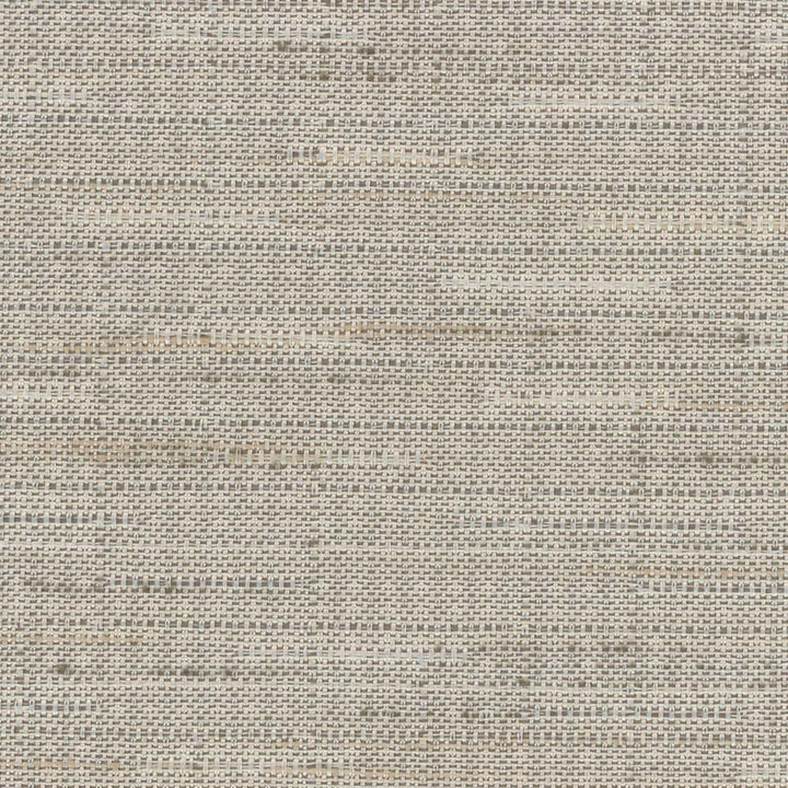 Banksville Mouse by Carole Fabric Bigelow 100% Polyester Mexico Passes 18,000 Double Rubs Wyzenbeek Horizontal: 0 and Vertical: 0 54 - Fabric Carolina -