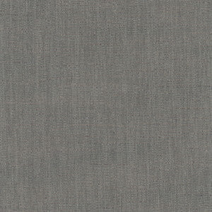 Athlete Charcoal By Carole Fabric