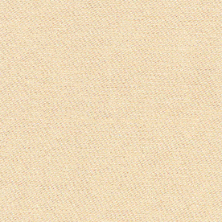 Northwind Parchment by Carole Fabric New Northwind Iv 100% Polyester India Passes 9,000 Double Rubs Wyzenbeek Horizontal: 0 and Vertical: 0 54 - Fabric Carolina -