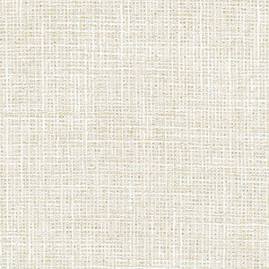 Adjuster Oyster by Carole Fabric