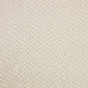 Contemplation Ivory by Carole Fabric