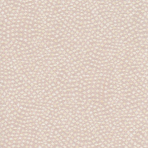 Twinkly Stars Icing by Carole Fabric