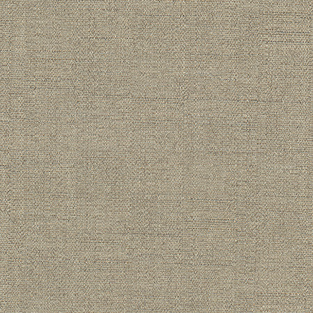 Cortland Taupe by Carole Fabric Gala 100% Polyester India 30,000 WYZENBEEK DOUBLE RUBS None 54.75"  - Fabric Carolina -