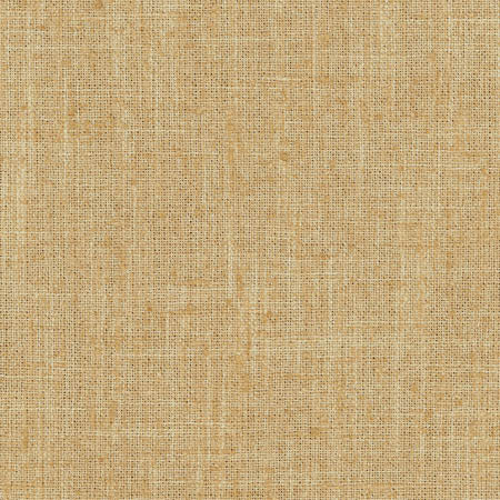 Consultant Chino by Carole Fabric Sunbaked 100% Polyester INDIA  None 54"  - Fabric Carolina -