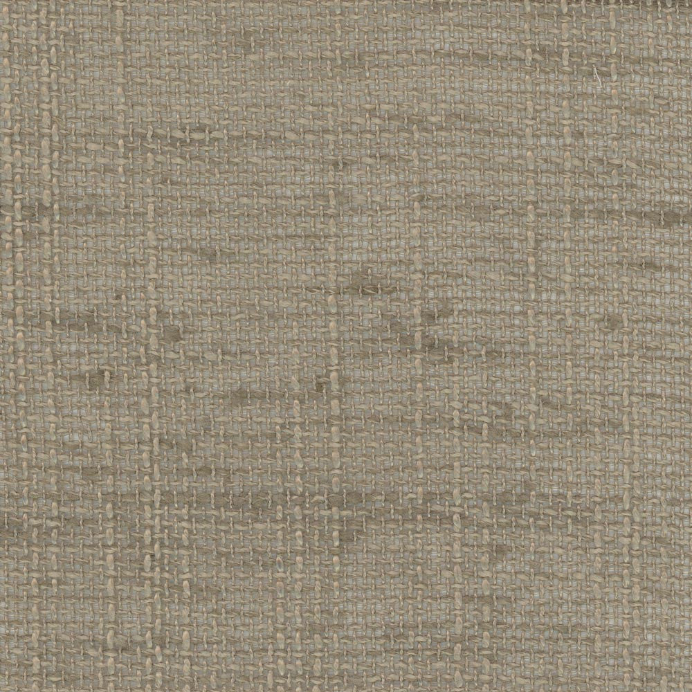 Slow Down Mushroom by Carole Fabric Come Home 100% Polyester India N/A Horizontal: 0 and Vertical: 0 54 - Fabric Carolina -