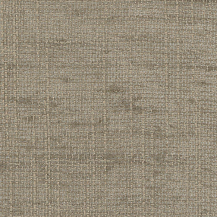 Slow Down Mushroom by Carole Fabric Come Home 100% Polyester India N/A Horizontal: 0 and Vertical: 0 54 - Fabric Carolina -