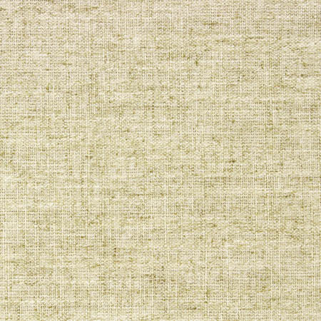 Critic Endive by Carole Designer Fabric Laguna 85% Polyester, 15% Linen INDIA None 54" - Swanky Fabrics -