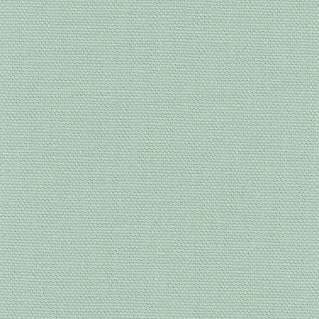 Wing Man Spray by Carole Fabric Celadon 100% Cotton USA Passes 15,000 Double Rubs Wyzenbeek Horizontal: None and Vertical: None 54" - Fabric Carolina -