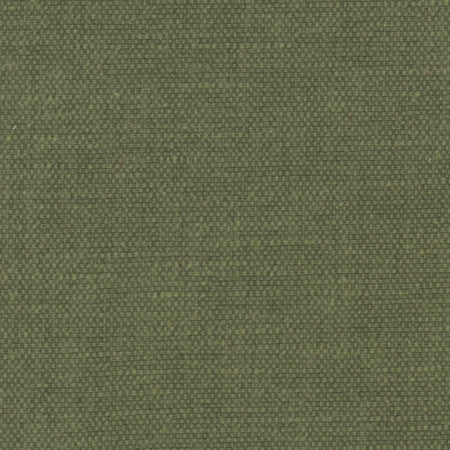 Bessarion Tarragon by Carole Fabric Prominence 71% Polyester, 29% Cotton India  None 55"  - Fabric Carolina -