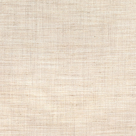 Prodigy Natural by Carole Designer Fabric Best Dressed 100% Polyester 30,000 Wyzenbeek Double Rubs None 55" - Swanky Fabrics -