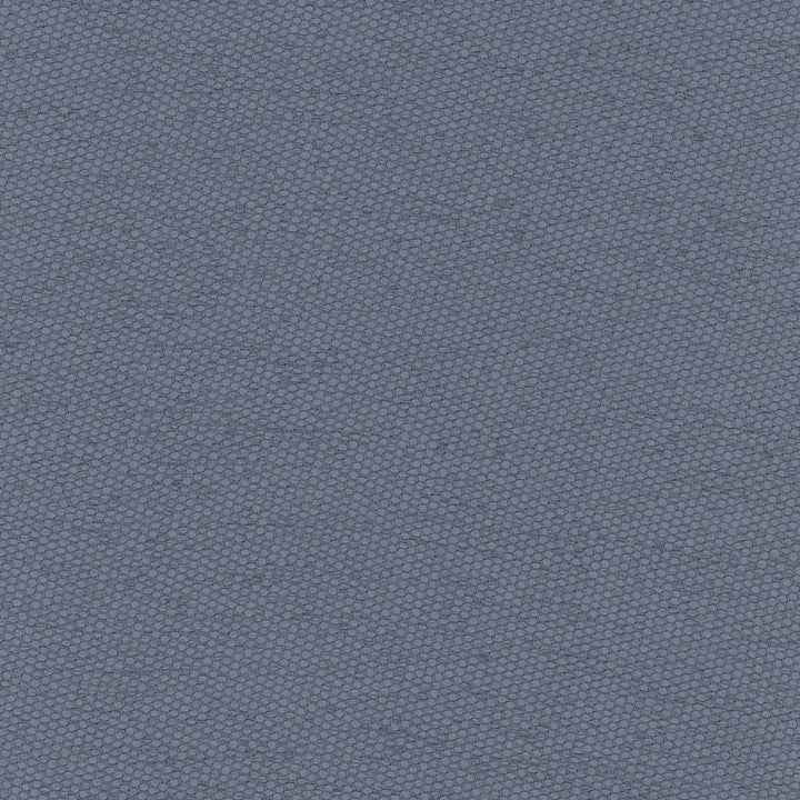 Fact Finder Cadet by Carole Fabric Cadet 100% Polyester Turkey Passes 40,000 Double Rubs Wyzenbeek Horizontal: 0 and Vertical: 0 59 - Fabric Carolina -