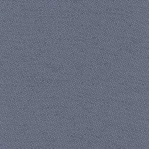 Fact Finder Cadet by Carole Fabric