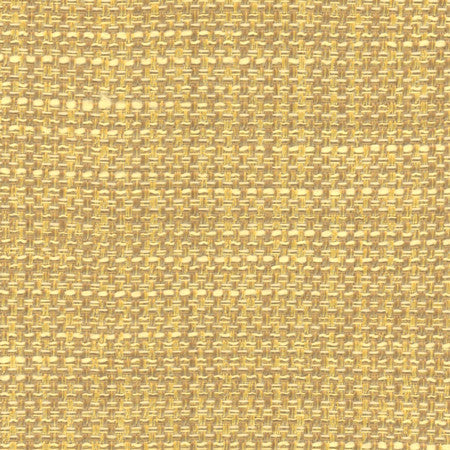 Endurance Sunglow by Carole Designer Fabric Head Start 100% Polyester IFR Hybrid India 75,000 Wyzenbeek Double Rubs None 54" - Swanky Fabrics -