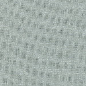 BAILIFF SKY by Carole Fabric