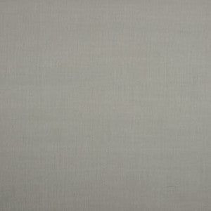 Common Sense Pebble by Carole Fabric