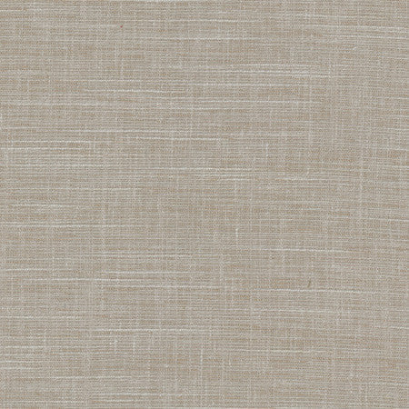 <p>Truth Be Told Pewter by Carole Designer Fabric</p><p><strong>Required Minimum Quantity Purchase: 2 yards</strong></p><p>Book: Desert Sands</p><p>Content: 56% Polyester, 37% Cotton, 7% Linen</p><p>Origin: </p><p>Performance: N/A</p><p>Repeat: None</p><p>Width: 54""</p>