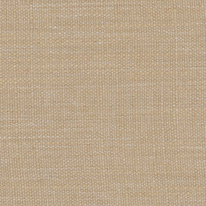 Revised Edition Cashew by Carole Fabric