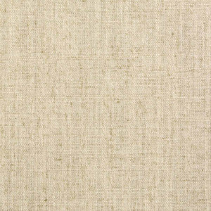 Critic Linen by Carole Fabric