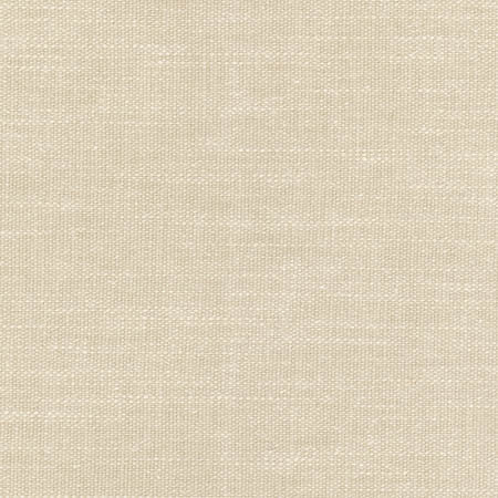 Carpenter Linen by Carole Designer Fabric Toasted Almond 46% Cotton, 35% Polyester, 10% Linen, 9% Viscose INDIA 42,000 Wyzenbeek Double Rubs None 55" - Swanky Fabrics -