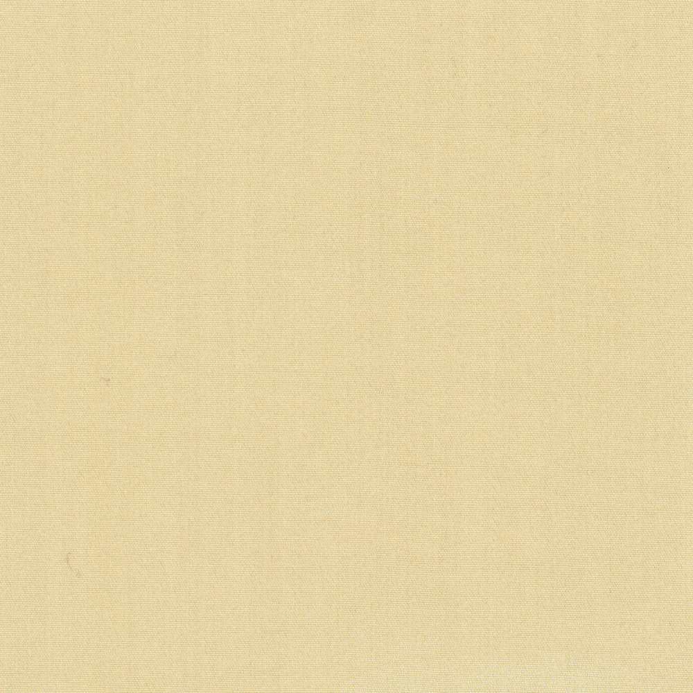 Tempt Straw by Carole Designer Fabric Royale 100% IFR Polyester India Passes 45,000 Double Rubs Wyzenbeek Horizontal: 0 and Vertical: 0 54 - Swanky Fabrics -