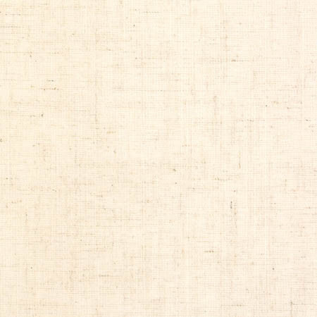 Duty Calls Natural by Carole Fabric Toasted Almond 77% Polyester, 14% Cotton, 9% Linen INDIA N/A None 54"  - Fabric Carolina -
