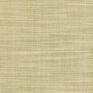 Secret Service Lime by Carole Fabric