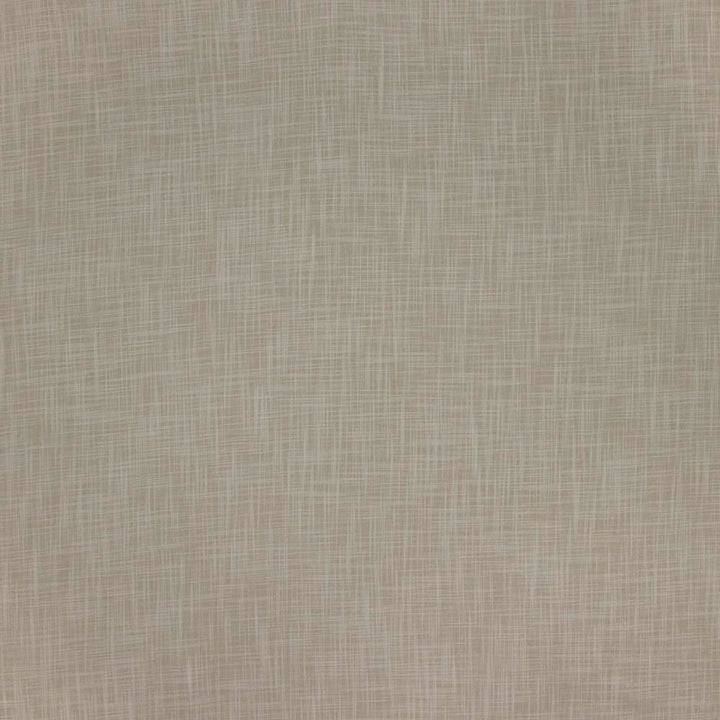 Without Borders Natural by Carole Fabric Texture Theory 100% Polyester India N/A Horizontal: 0 and Vertical: 0 54 - Fabric Carolina -