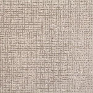 Leto Champagne by Carole Fabric