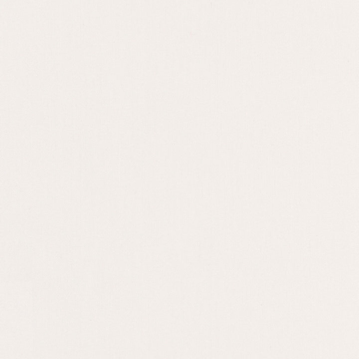 Comfort Pumice by Carole Fabric Daydreaming 100% Cotton India Passes 21,000 Double Rubs Wyzenbeek Horizontal: 0 and Vertical: 0 54 - Fabric Carolina -