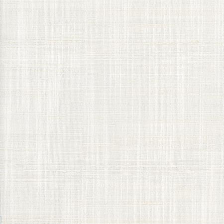 Totally Relaxed Winter White by Carole Designer Fabric COME HOME 90% Polyester, 10% Cotton India None 54" - Swanky Fabrics -