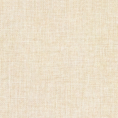 Director's Cut Straw by Carole Fabric Power Play 100% Polyester N/A None 55" - Fabric Carolina -