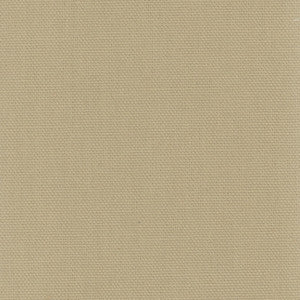 Daydreamer Linen by Carole Fabric