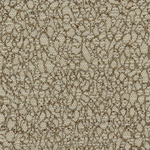 Time Crunch Fossil by Carole Fabric
