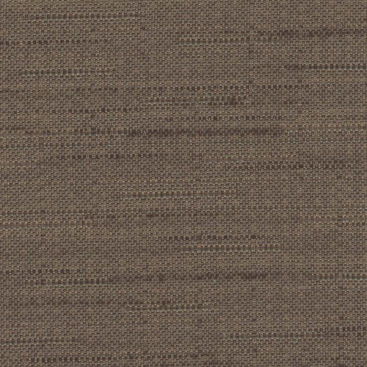 Banksville Sandlewood by Carole Fabric Bigelow 100% Polyester Mexico Passes 18,000 Double Rubs Wyzenbeek Horizontal: 0 and Vertical: 0 54 - Fabric Carolina -