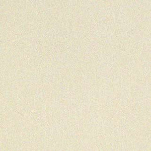 Jenner Winter White by Carole Fabric