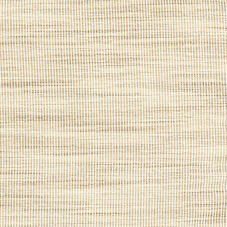 Secret Service Parchment by Carole Fabric Toasted Almond 100% Polyester INDIA N/A None 54"  - Fabric Carolina -