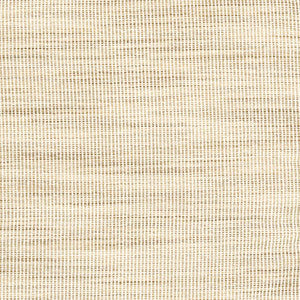 Secret Service Parchment by Carole Fabric