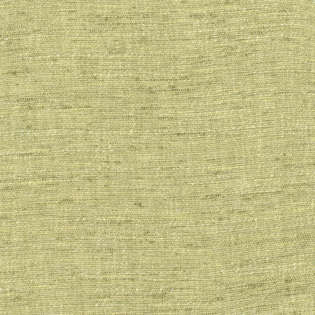 Training Day Fern by Carole Fabric Laguna 92% Polyester, 8% Cotton INDIA N/A None 54"  - Fabric Carolina -