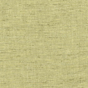Training Day Fern by Carole Fabric
