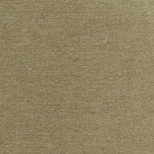 Total Dream Moss by Carole Fabric