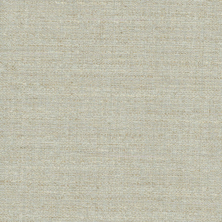 Rock Wall Mineral by Carole Fabric Celadon 83% Polyester, 12% Cotton, 5% Rayon India N/A </p><p>Repeat: None 55" - Fabric Carolina -