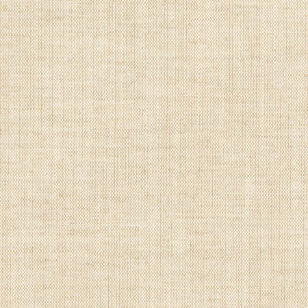 Aerial Flax by Carole Fabric Opal,Toasted Almond 100% Polyester India Passes 50,000 Double Rubs Wyzenbeek None 54"  - Fabric Carolina -