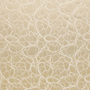 Final Chapter Ivory by Carole Fabric