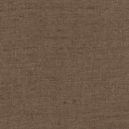 Training Day Brown by Carole Designer Fabric Sunbaked 92% Polyester, 8% Cotton INDIA None 54" - Swanky Fabrics -