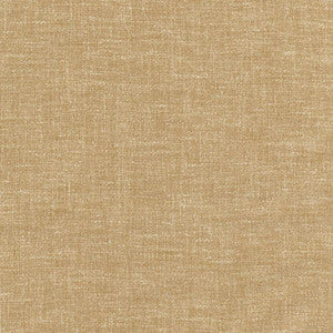 Aspire To Sepia by Carole Fabric