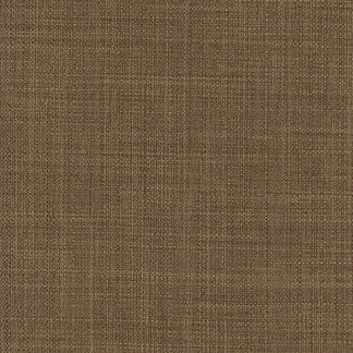 Sightsee Mocha by Carole Fabric Sensibility 100% Polyester China Passes 30,000 Double Rubs Wyzenbeek Horizontal: None and Vertical: NONE 55" - Fabric Carolina -