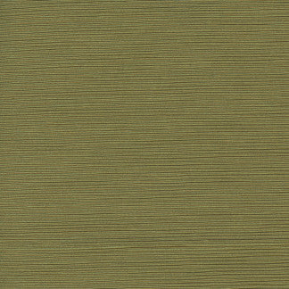 First Novel Spring Green by Carole Fabric STATIONERY 72% Rayon, 28% Polyester China Passes 30,000 Double Rubs Wyzenbeek Horizontal: None and Vertical: None 55" - Fabric Carolina -