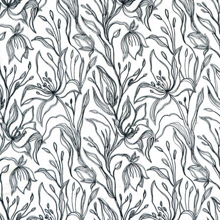 <p>Melody Raven by Carole Fabric</p><p><strong>Required Minimum Quantity Purchase: 2 yards</strong></p><p>Book: Forget Me Knot</p><p>Content: Base: 100% Cotton Embr: 75% Cotton, 25% Rayon</p><p>Origin: </p><p>Performance: N/A</p><p>Repeat: 15 1/2" V, 13 1/2" H</p><p>Width: 52*"</p>