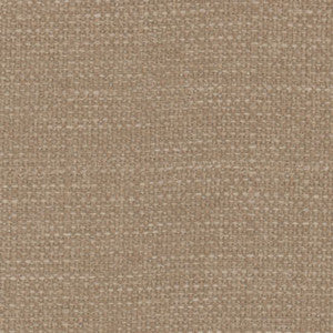 City Kid Latte by Carole Fabric