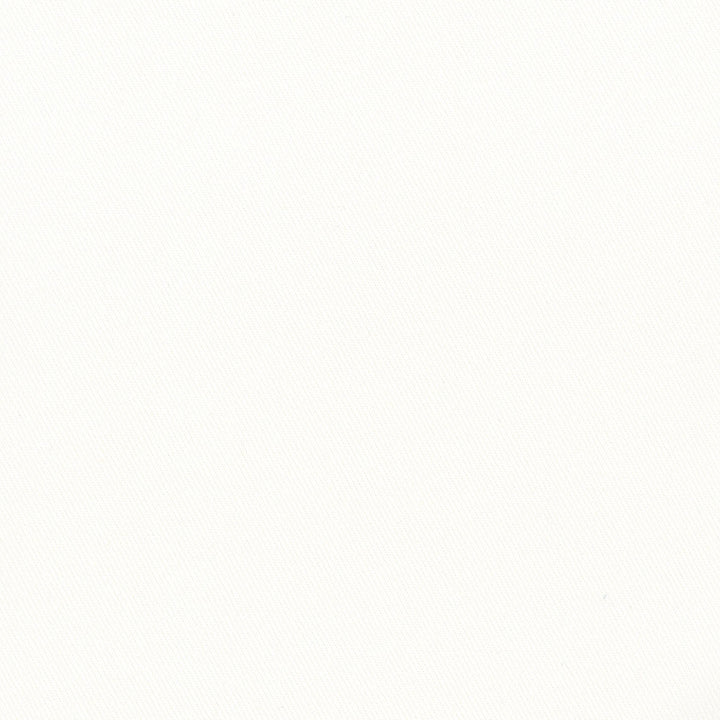 More Time White by Carole Designer Fabric Opal 100% Cotton China N/A Horizontal: 0 and Vertical: 0 555 - Swanky Fabrics -